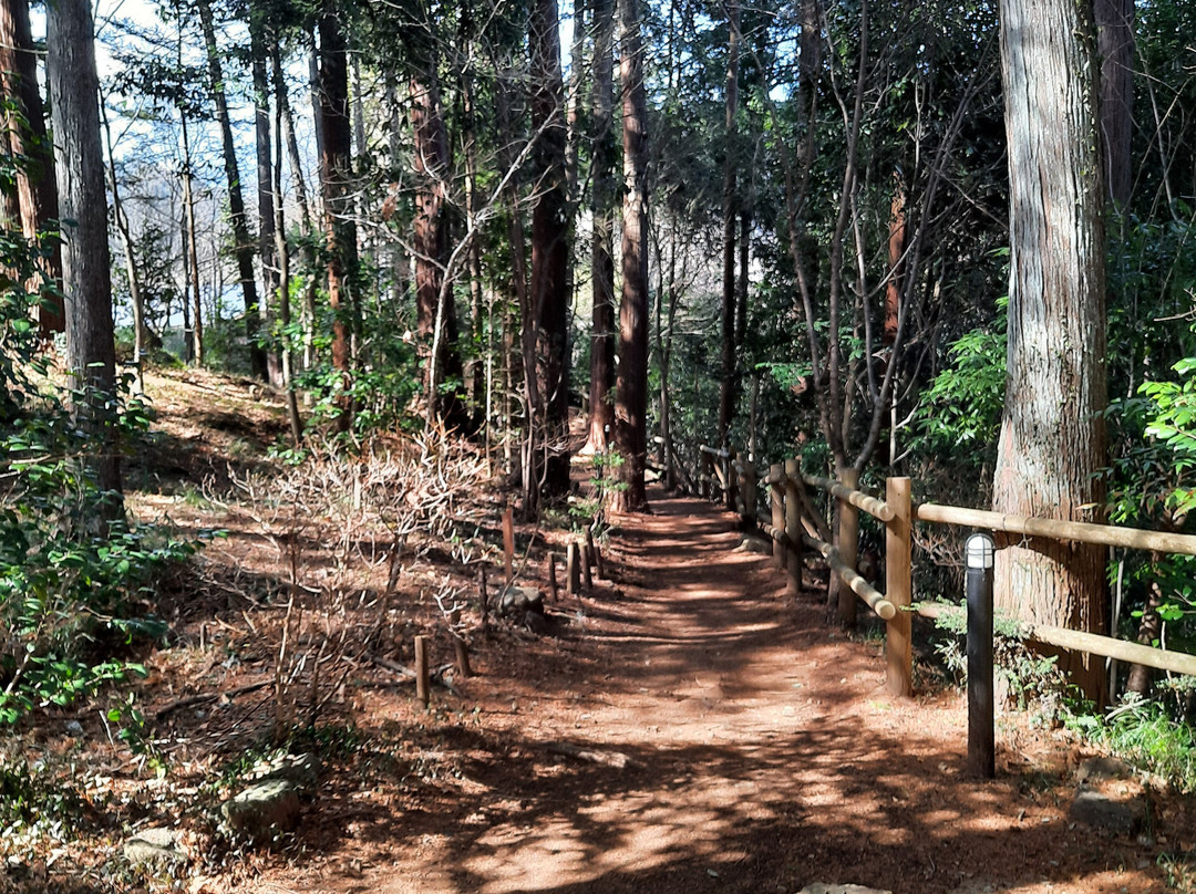 Akigawa Valley-秋留野市必去景点