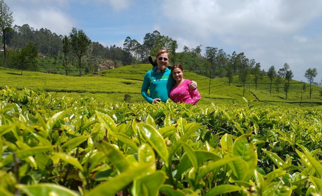 Abbas Tours Sri Lanka-哈普特莱必去景点