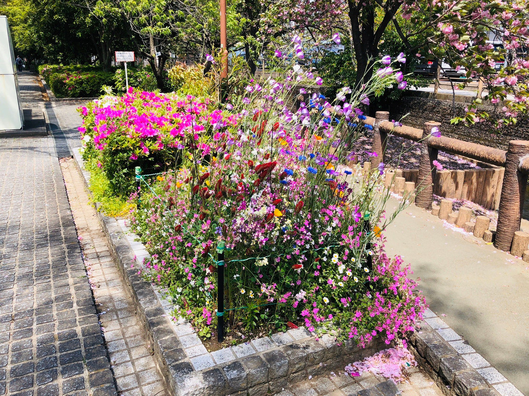 Nikaryouyousui景点图片