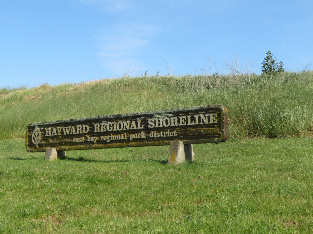 Hayward Shoreline Interpretive Center-海沃德必去景点
