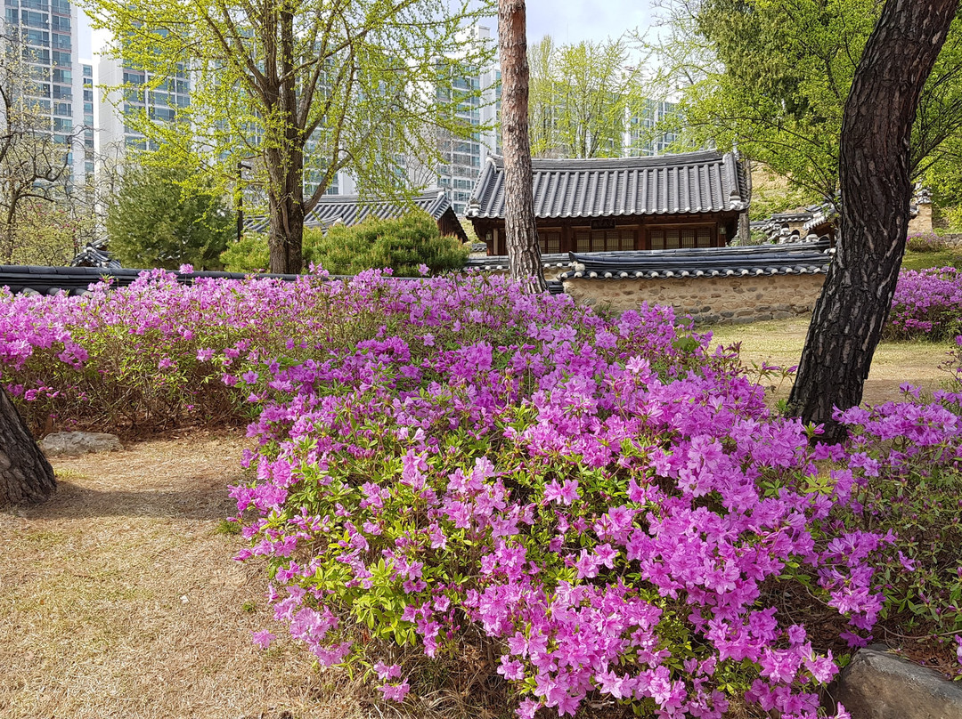 Hoedeok Dongchundang-大田必去景点