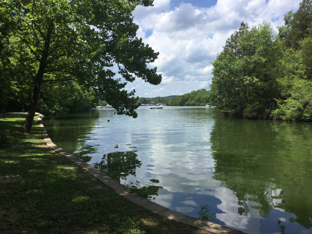 Treetop Village主图