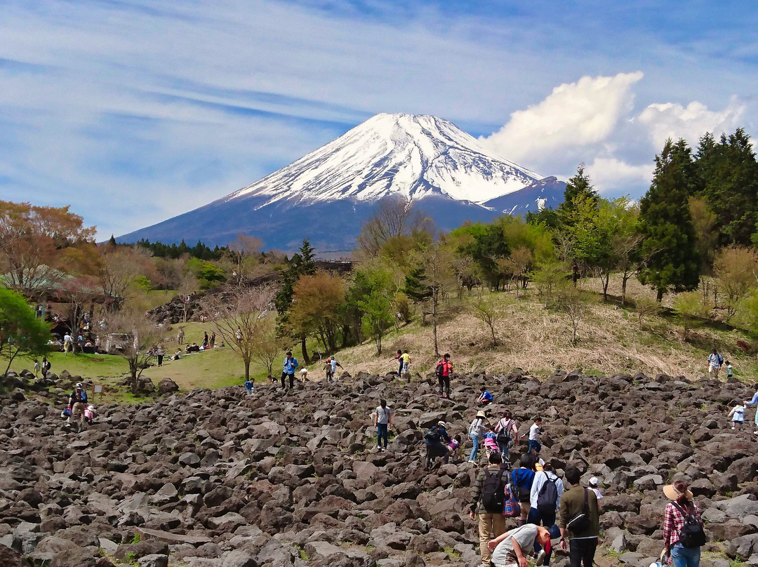 Mount Fuji Children's World景点图片