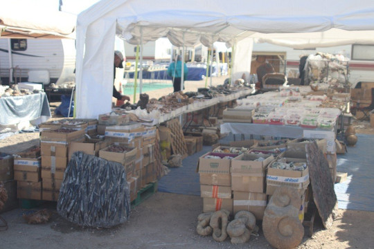 Desert Gardens International Rock, Gem & Mineral Show