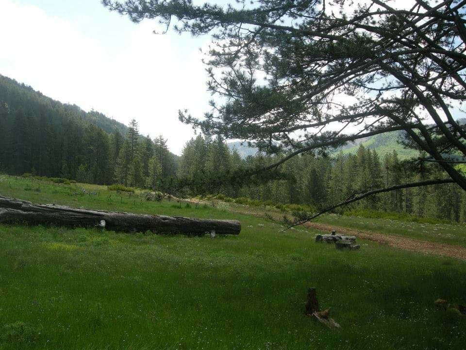 Pindos National Park景点图片