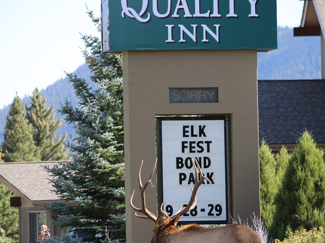 Quality Inn Estes Park主图