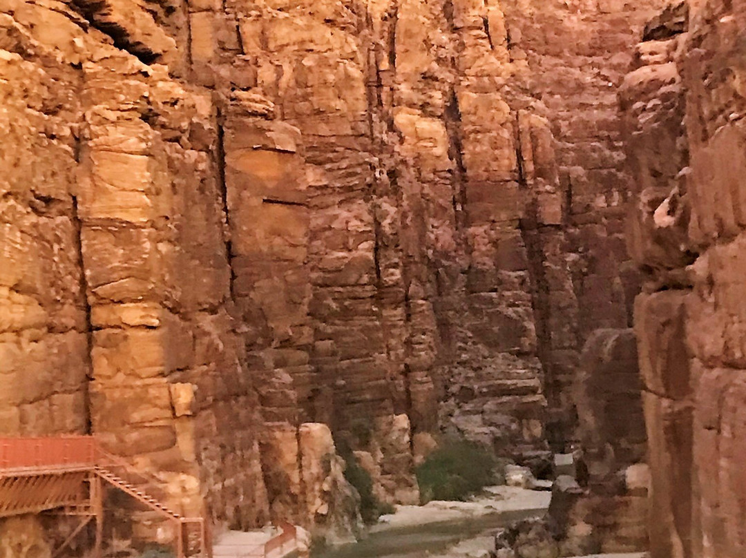 Mujib Nature Reserve-死海地区必去景点