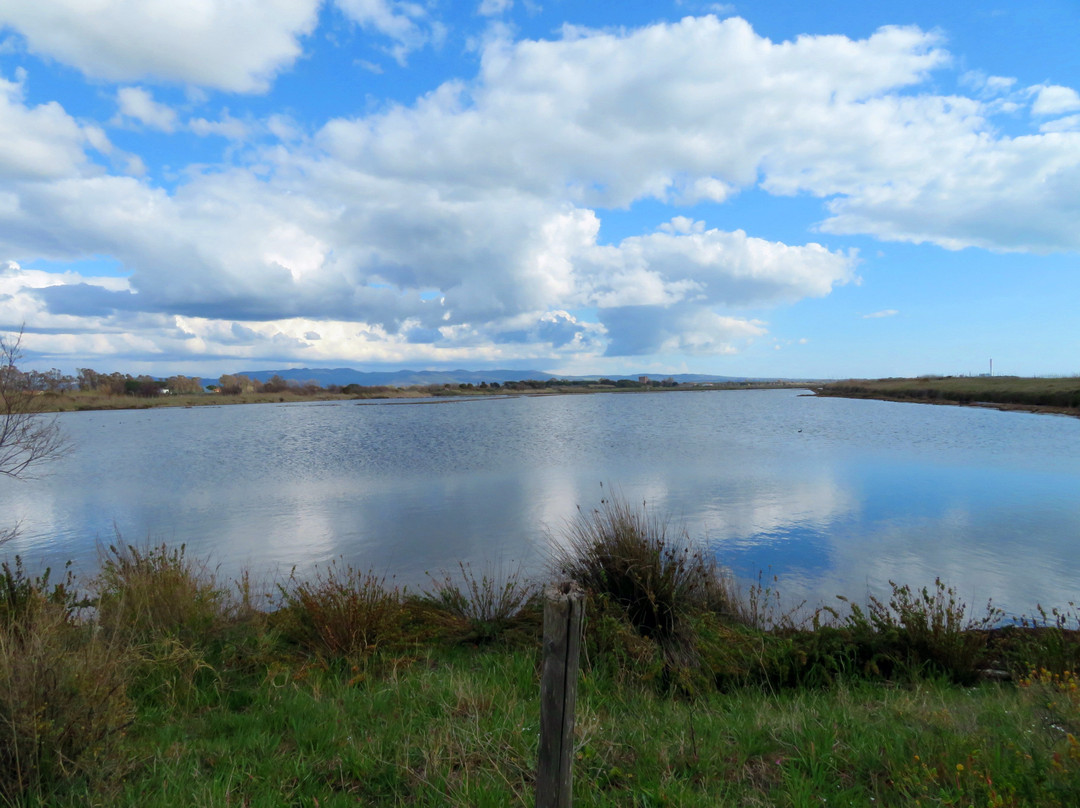 Saline di Tarquinia-塔尔奎尼亚必去景点