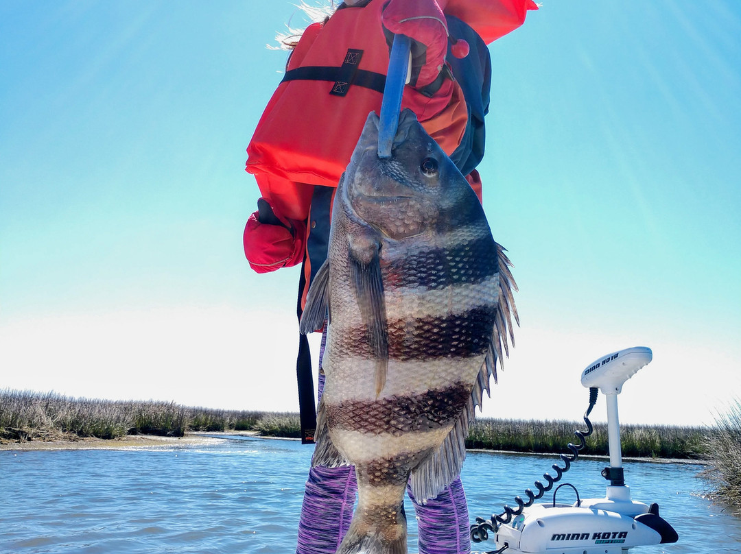 Redfish Nation景点图片