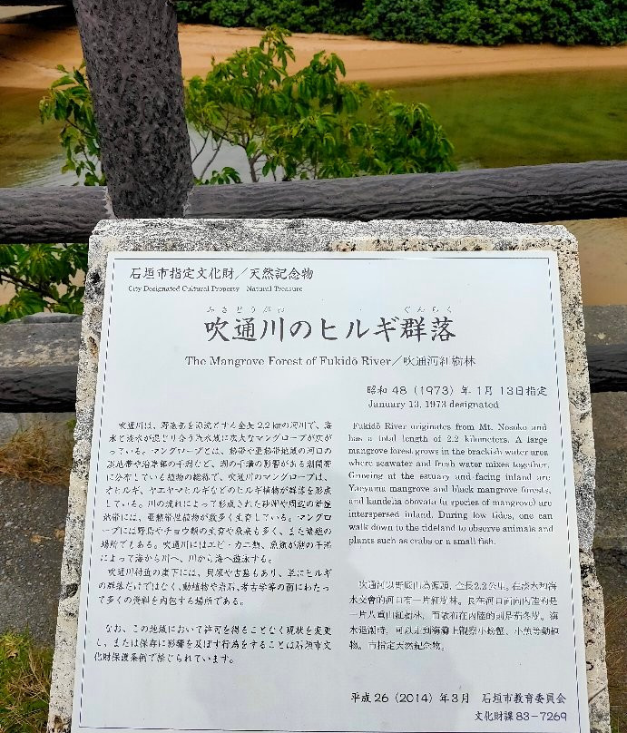Rhizophoraceae Plant Community of Fukidogawa River景点图片