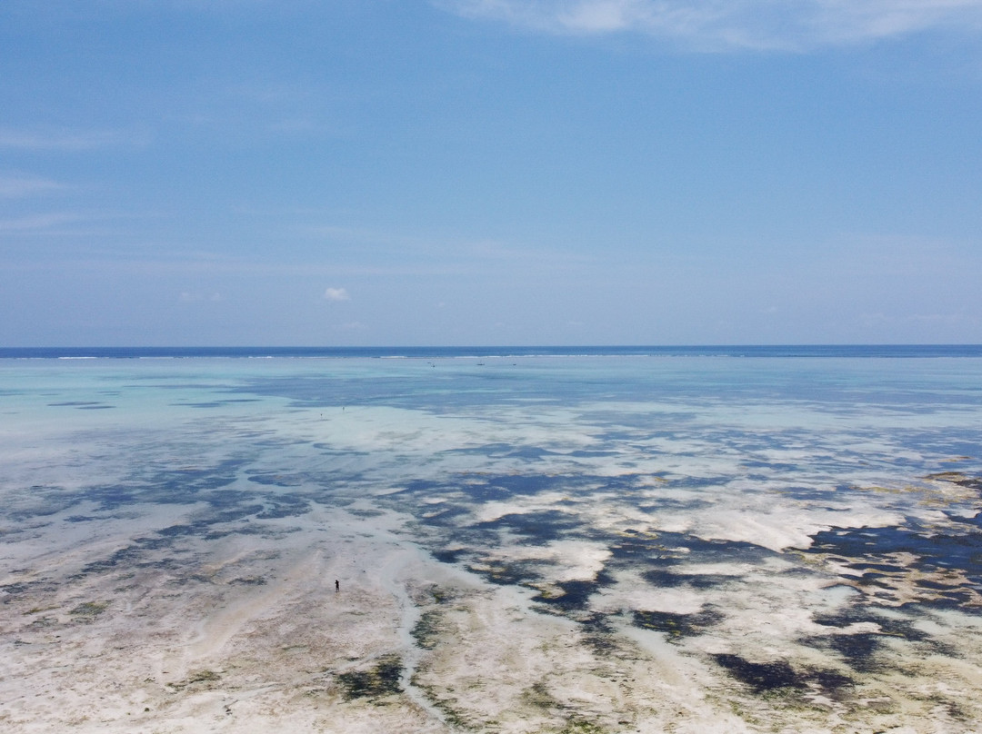 Hakuna Majiwe Beach Lodge主图