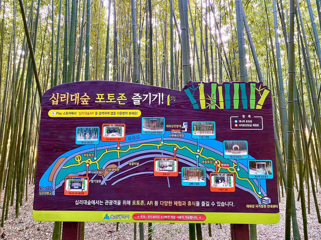 Taehwagang National Garden-蔚山必去景点