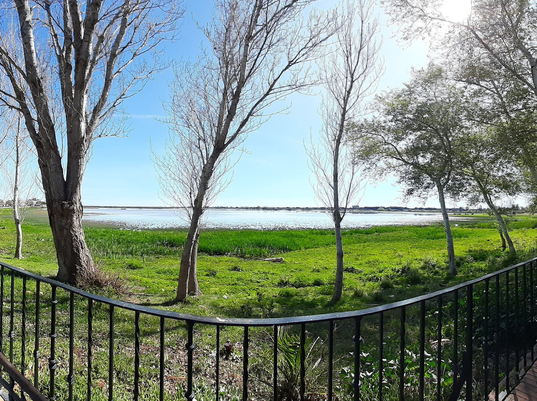 Mirador de las Marismas景点图片