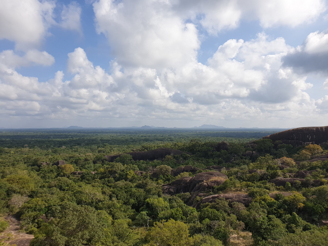 Sithulpawwa Rock Temple-蒂瑟默哈拉默必去景点