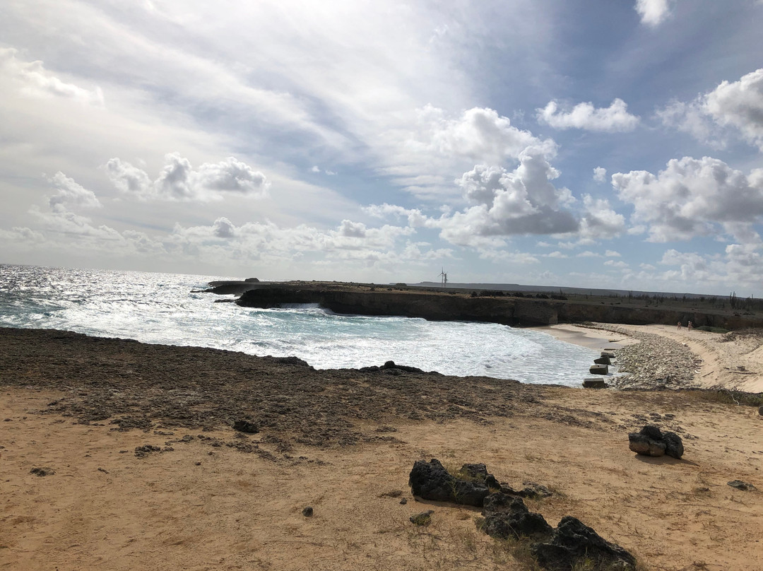 Bonaire Tours & Vacations-Kralendijk必去景点