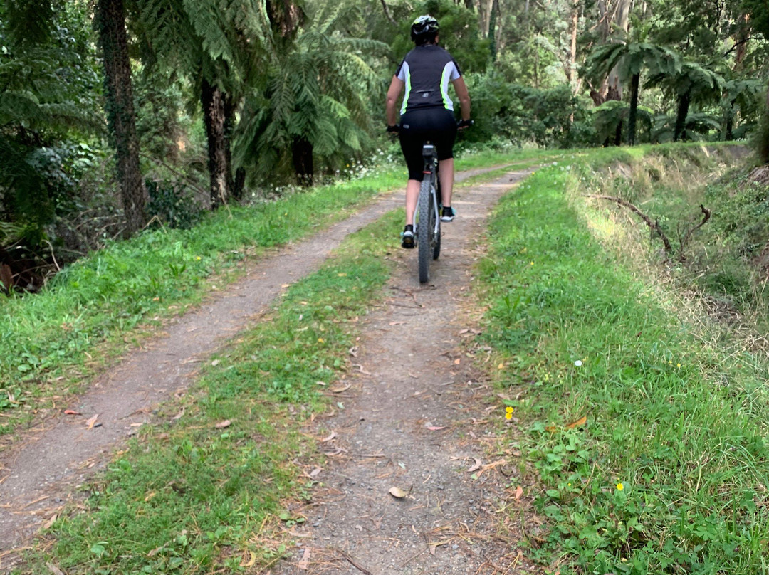 O'Shannassy Trail-华伯登必去景点