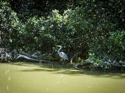Toursday-梅里达必去景点