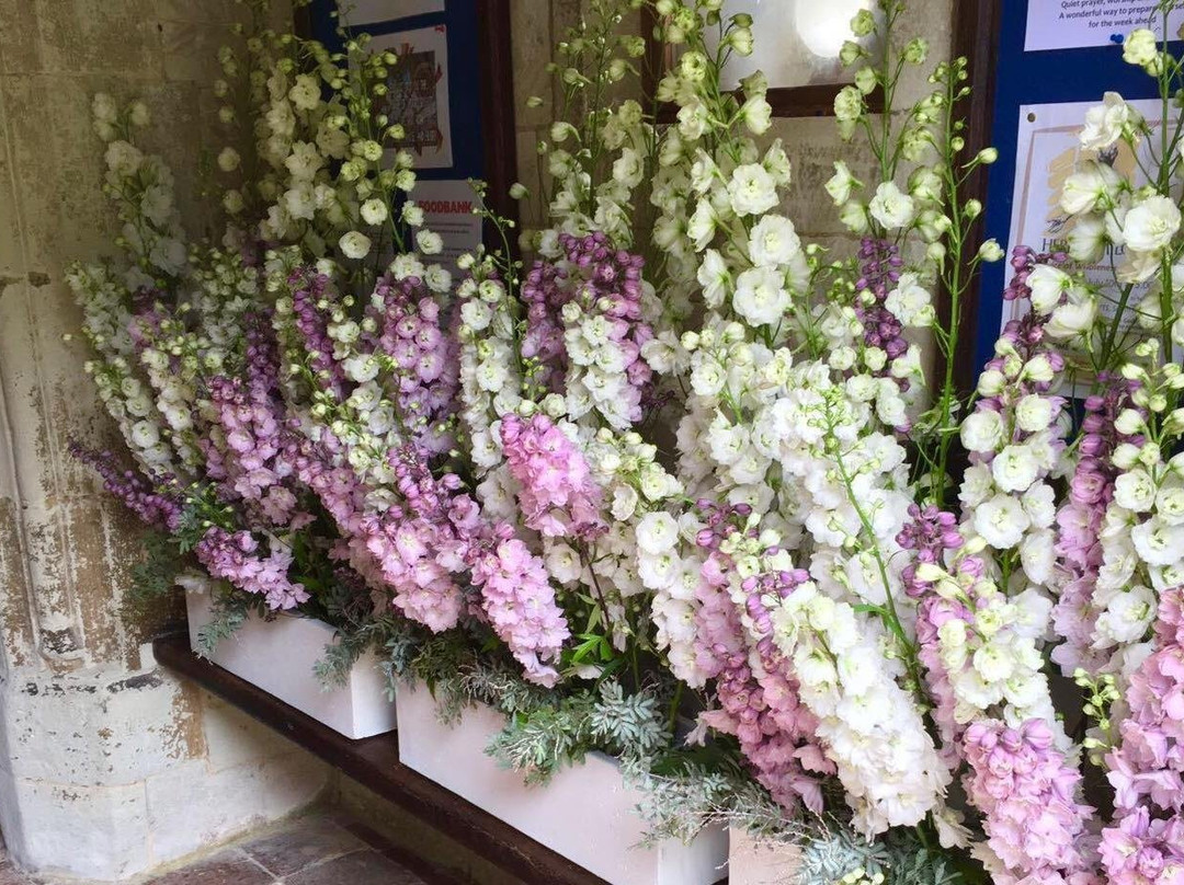 Mad Lilies Florists景点图片