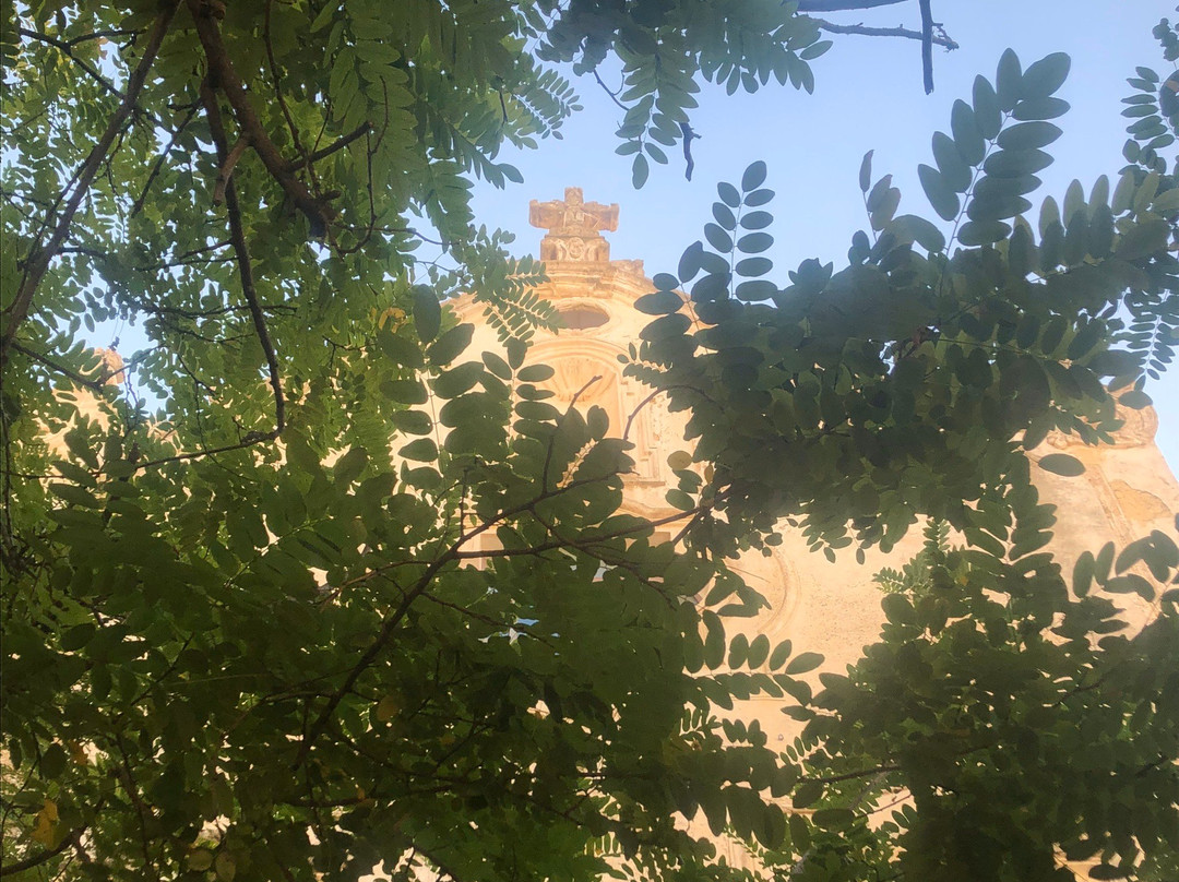 Biblioteca Comunale ed Archivio Storico-加里波利必去景点