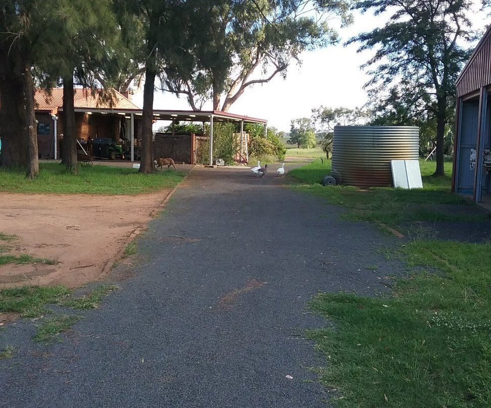 Walls Court Bed & Breakfast主图