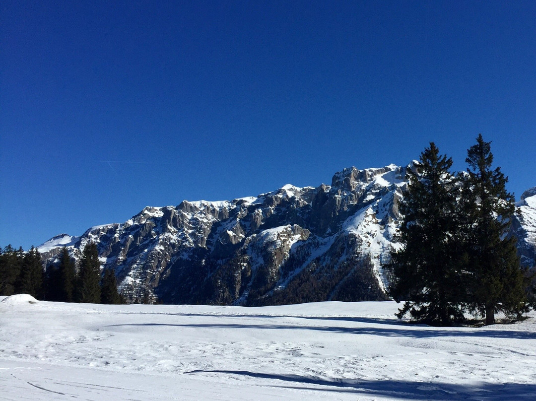Skiarea Campiglio - Folgarida Marilleva景点图片