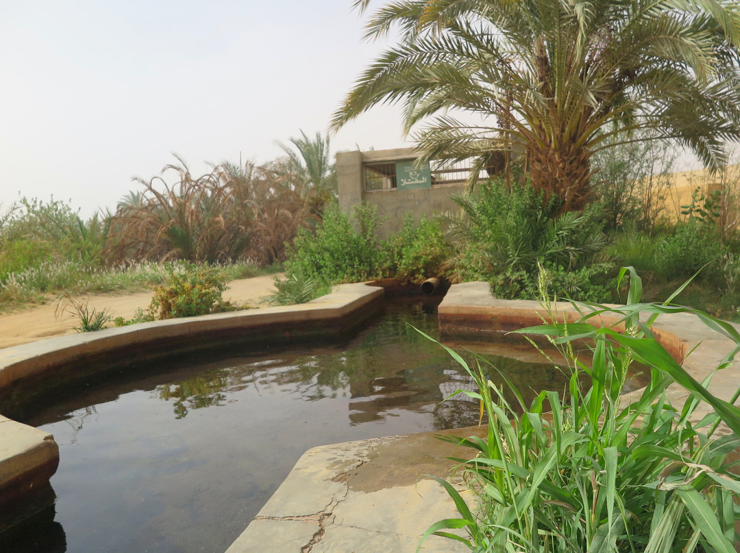 Al Beshmo Springs (Roman Springs)景点图片