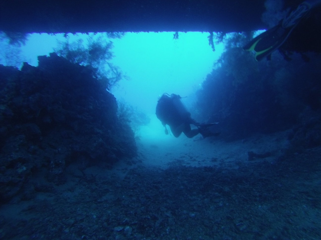 Sindbad Dive Club-亚喀巴必去景点