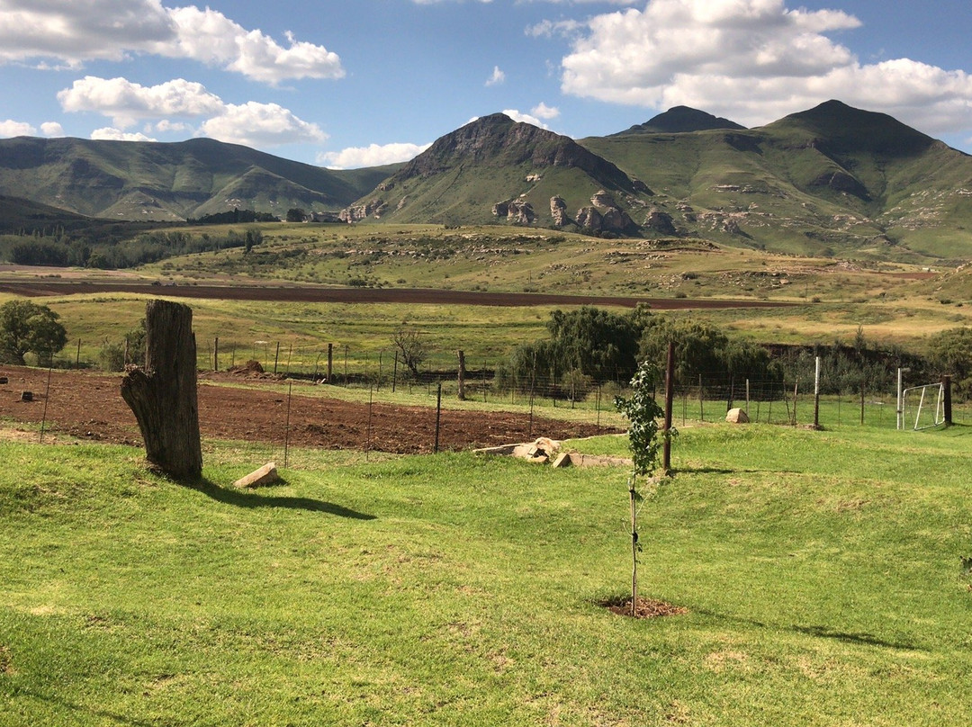 De Molen Farm Clarens主图