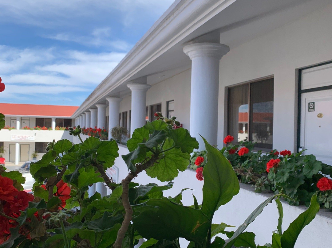 Gamma Durango Plaza Vizcaya主图