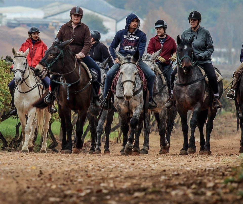 Wine Valley Adventures-法兰舒克必去景点
