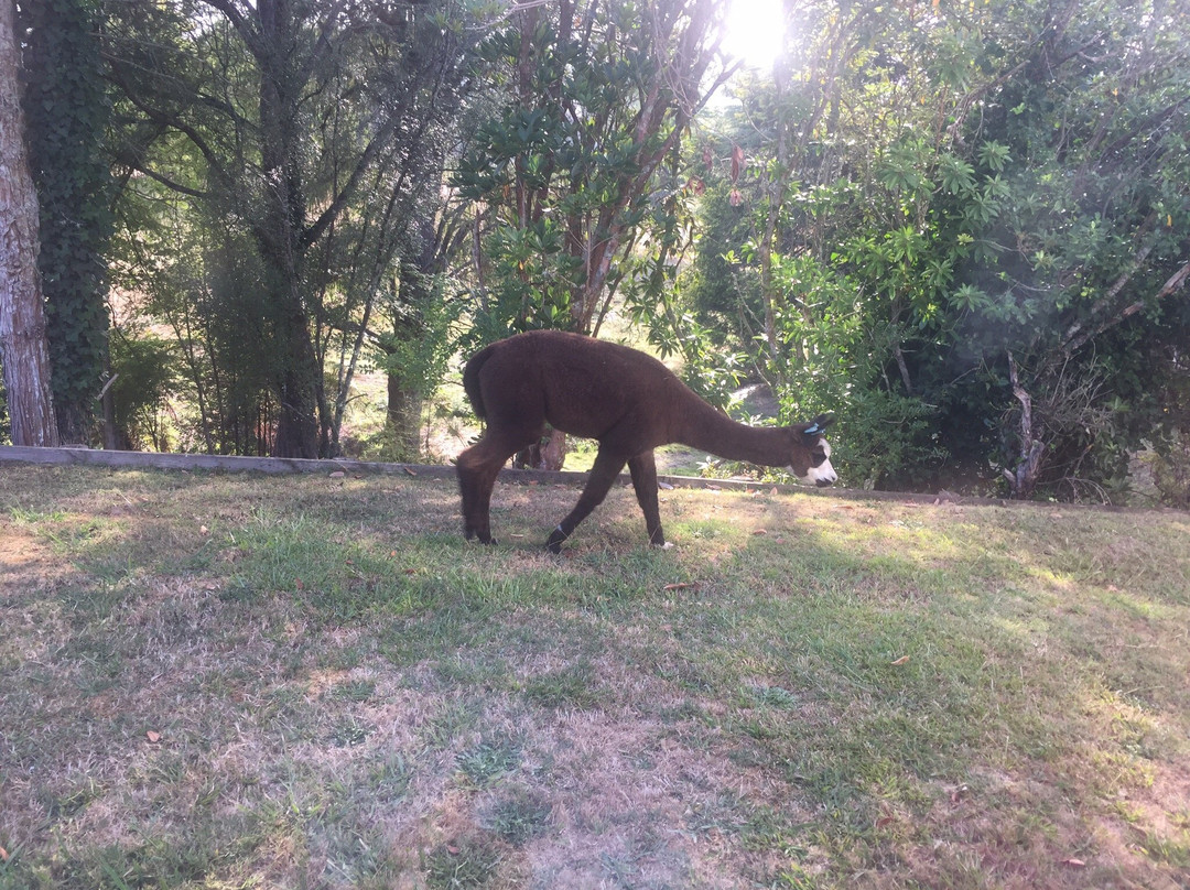 Mahoe Motel & Restaurant主图