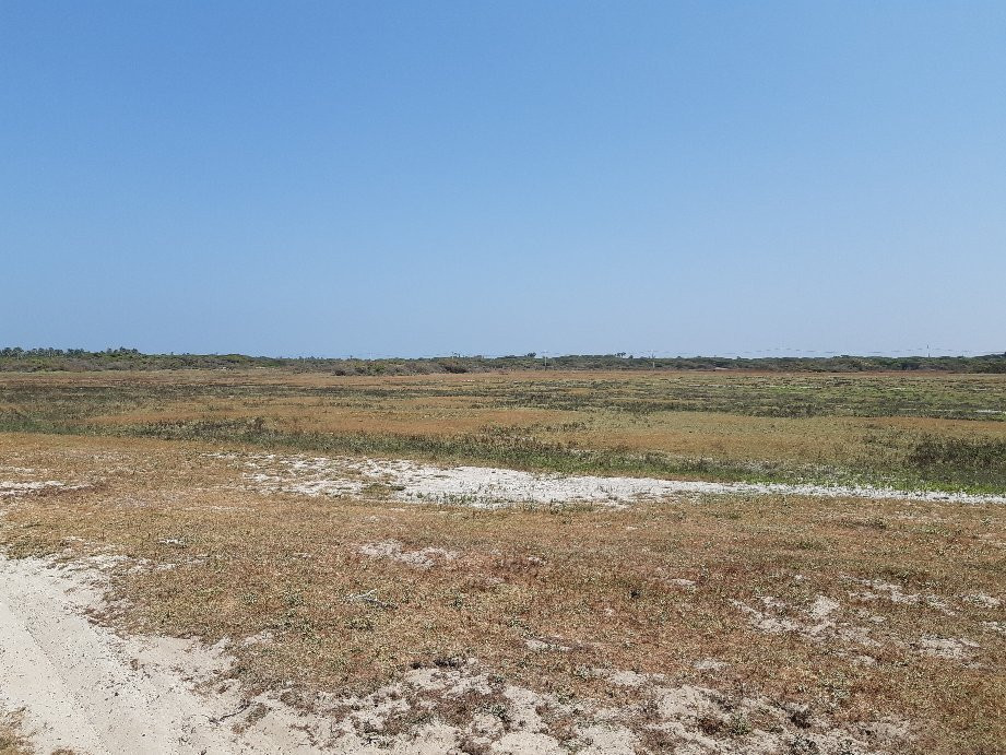 Adam’s Bridge-马纳尔必去景点