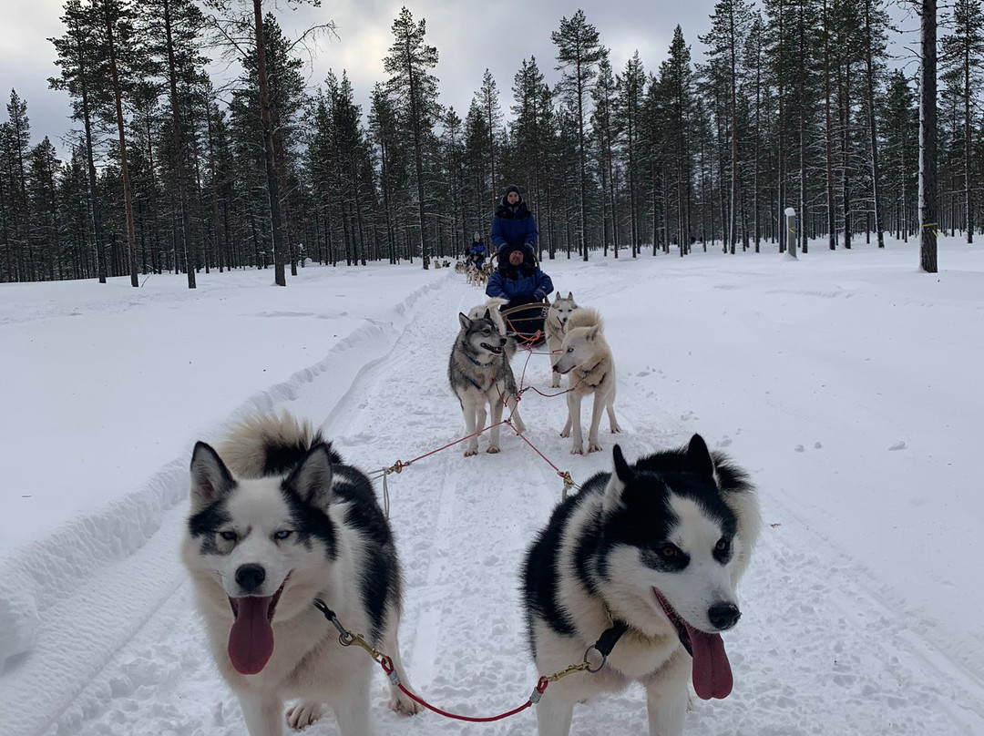 Kamisak Husky and Horse Expeditions - Day Tours-伊瓦洛必去景点