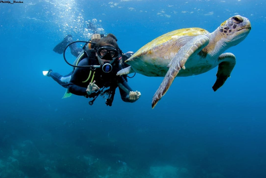 Queiroz Diver-阿拉伊阿尔港必去景点