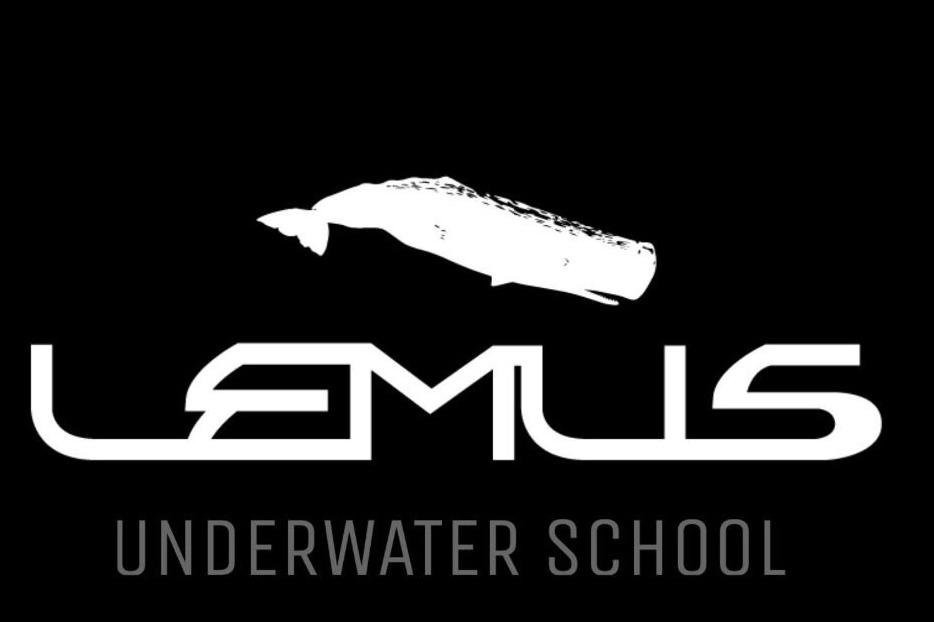 Lemus Underwater School景点图片