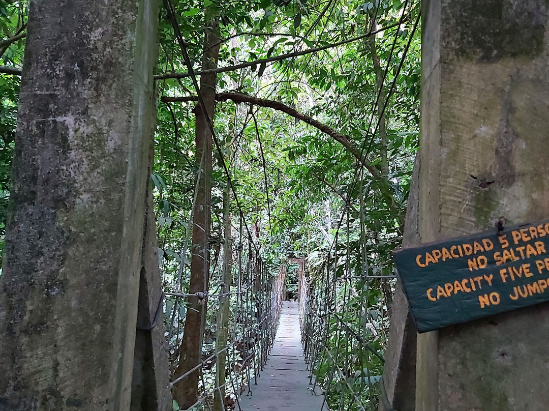 Canopy Adventure景点图片