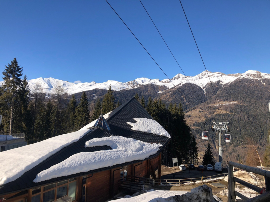 布坎奈伏住宅酒店主图