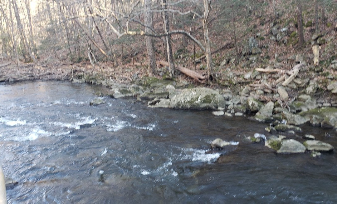 Ken Lockwood Gorge Wildlife Management Area景点图片