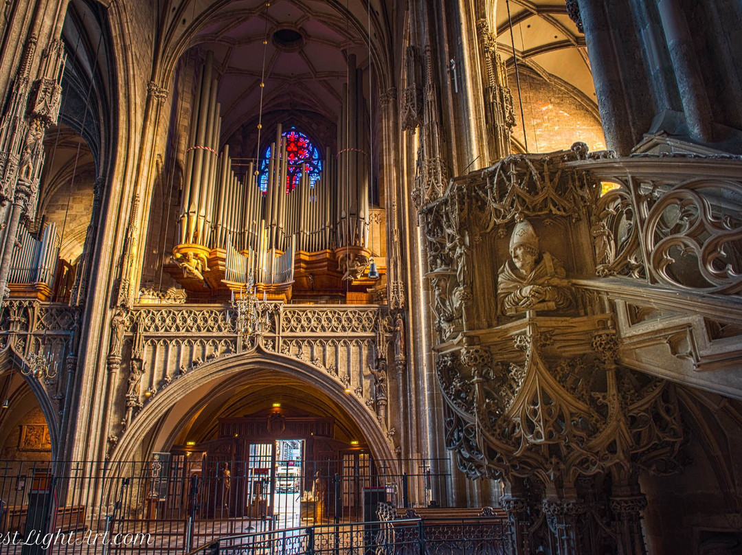 Concerts at St. Stephen's Cathedral-维也纳必去景点
