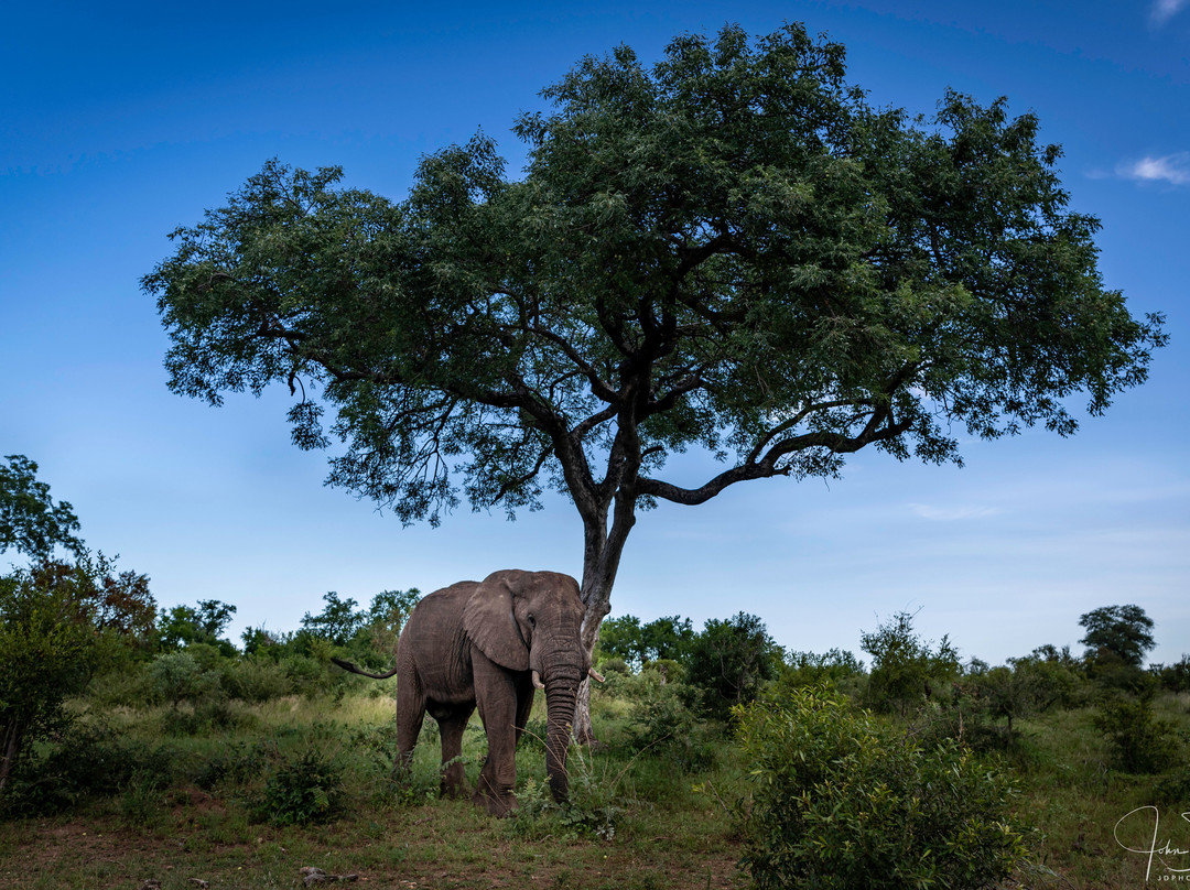 B1 Photo Safaris-司库库札必去景点