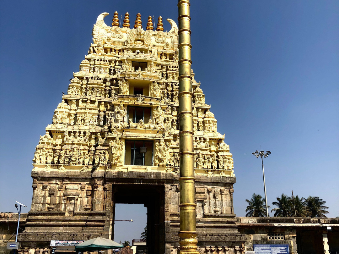 Sri Chennakeshava Temple景点图片