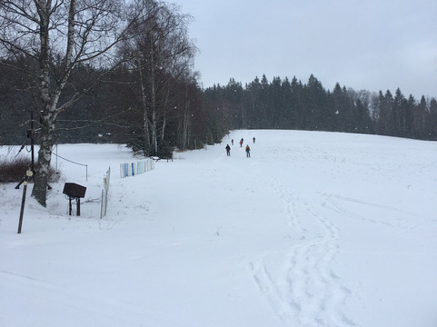 Nicov旅游攻略图片