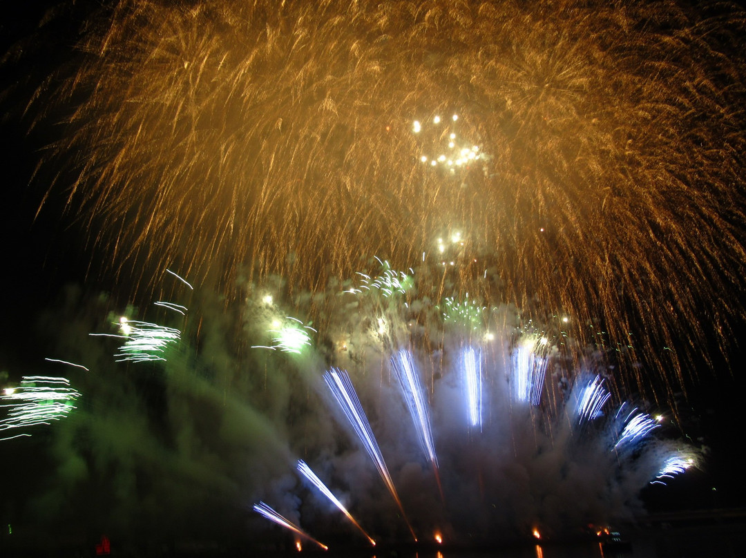 Toyohashi Gion Festival景点图片