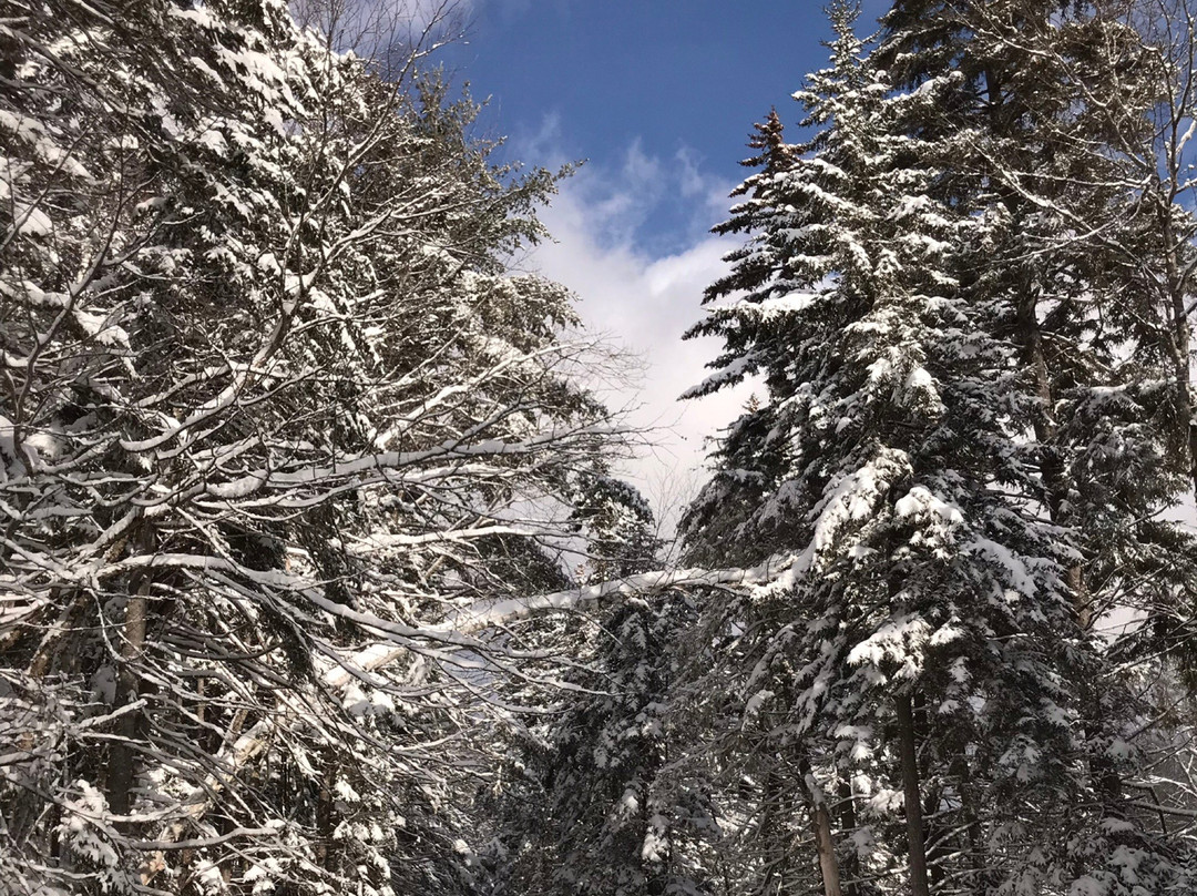Bretton Woods Nordic Ski Area-布雷顿森林必去景点
