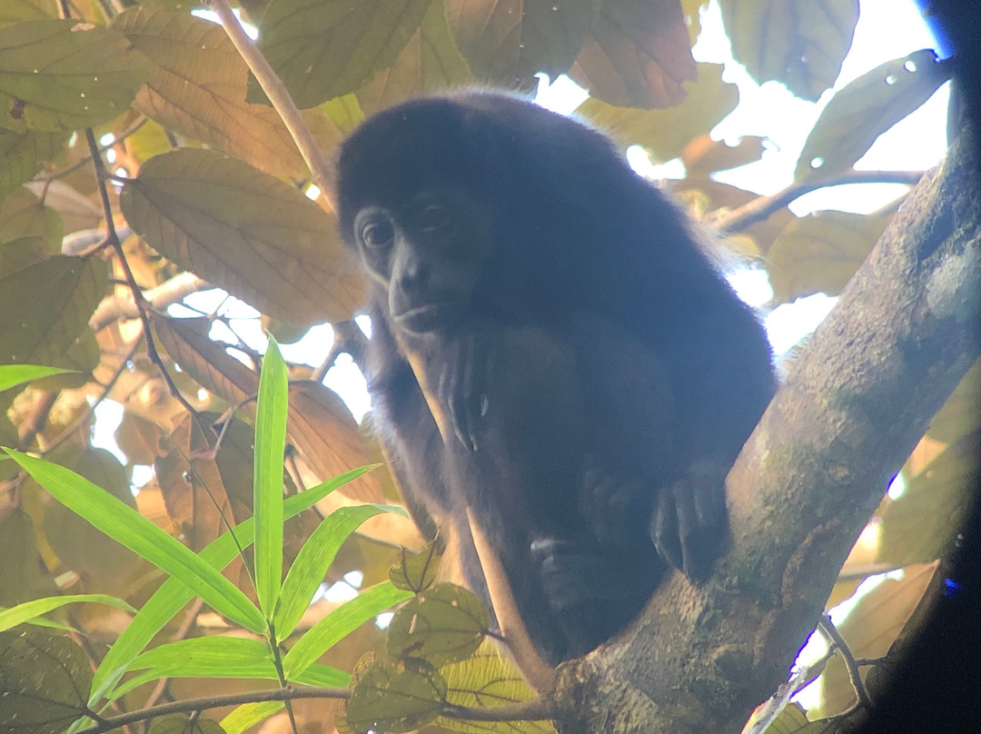 Avatar Eco Lodge主图