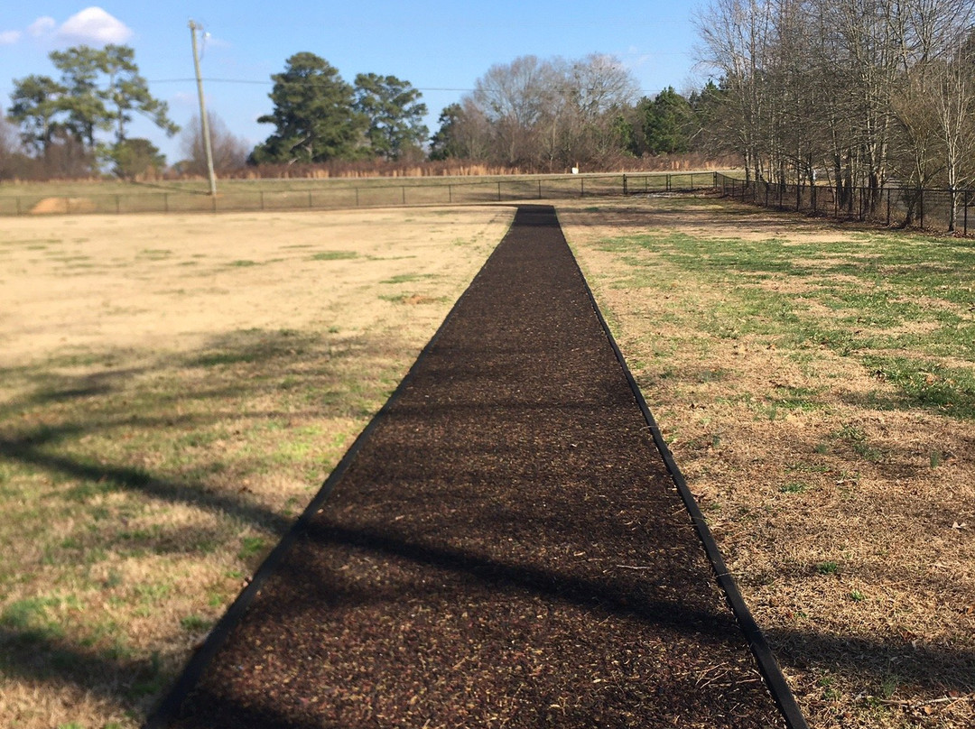 Ducktown Park-卡明必去景点