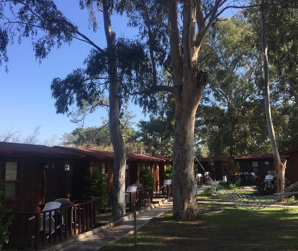 Lemon Park House主图