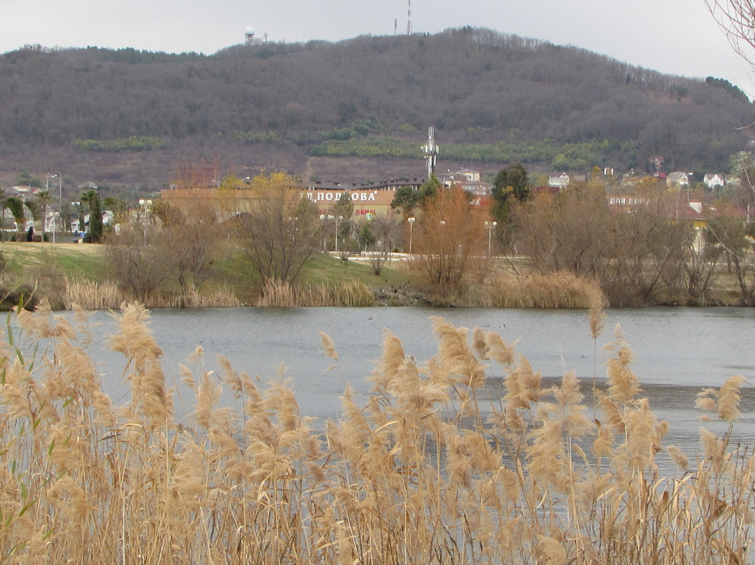 Vesyoloye旅游攻略图片