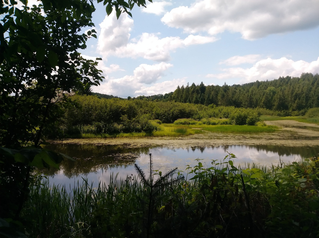 Tomifobia Nature Trail景点图片