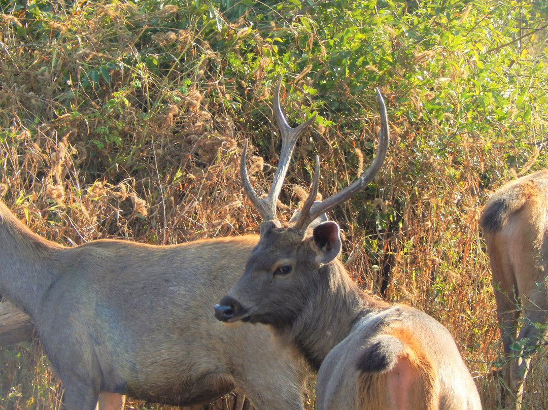 Vijay India Tours-Jhotwara必去景点